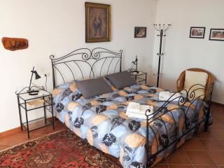 Tra Gli Ulivi - 5