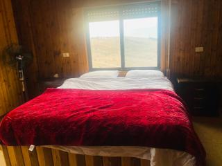 Green houseجوهره الشمال - 5