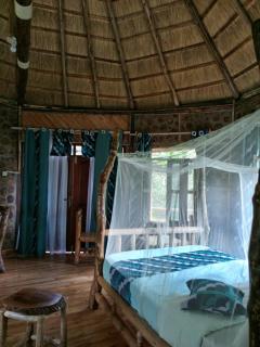 Chimpanzee Capital Safari Lodge - 1