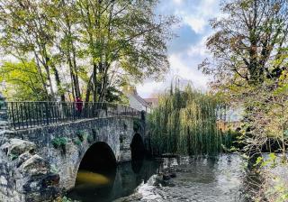 Dapps Hill Haven - between Bristol and Bath, both 9 mins by train! - Keynsham - 9