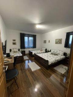 Apartman Gakić 1 - Brdo - 6