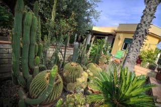 Donna Caterina House, autentica oasi di confort e relax nel cuore della Sicilia - Pietraperzia - 4