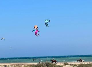 Mangroovy Gouna 1 BR apartment - Hurghada - 0