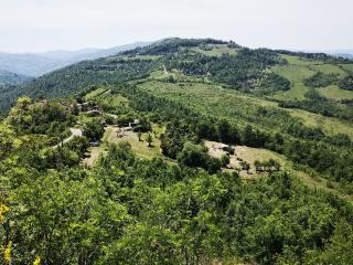 Agricampeggio Cà di Mazza - Monzuno - 6
