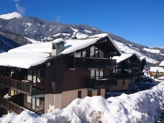 Studio cosy avec mezzanine, 27m², 2/3 pers, Équipé, Wifi, Balcon, Proche ski et commerces - FR-1-342-293 - 3