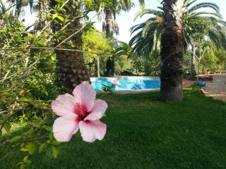 Quinta do Paraiso - São Teotónio - 0