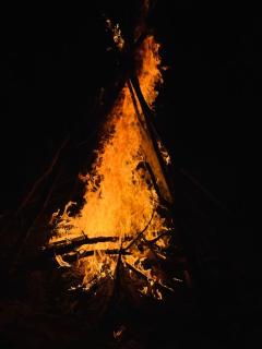 Viksh Seaview Apartment - 5