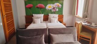 Hotel Szarlota - Kompleksowo na Kaszubach - Kościerzyna - 4