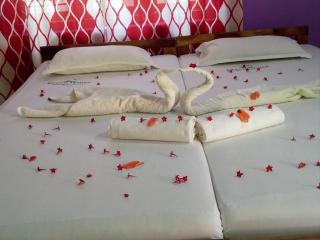 Green Garden Ayurvedic Resort & Green House - Varkala - 9