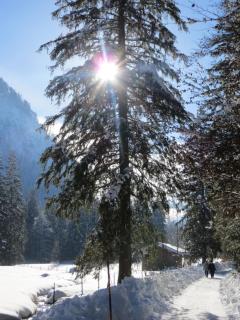 Pension Marianne - Inzell - 5
