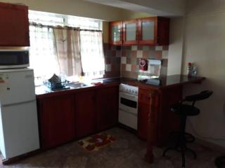 Home Style Apartment J - Roseau - 0
