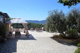 Fattoria Cristina - Fenice - 1