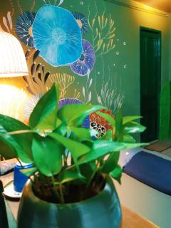 Homestay Gác Mơ Vũng Tàu - Vung Tau - 9