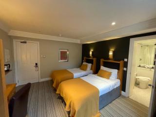 Shandon Hotel - Richmond upon Thames - 7