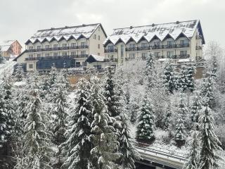 Zaporizʹka Sich - 0