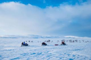 Hillagammi, the unique beauty in the Wilderness - Utsjoki - 7