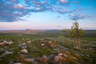 Hillagammi, the unique beauty in the Wilderness - Utsjoki - 1