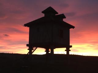 Le pigeonnier d'Olivier - 7