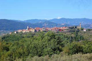 Fattoria Cristina Patio Apartment with Pool, Pergola & Farm Animals near Cinque Terre - Mono - 1