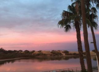 Apartamento Oasis Palmeras 4 - 5