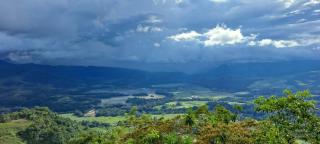 Pochotel - Turrialba - 3