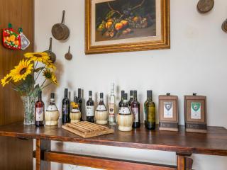 Holiday Home Casa Girasole - SMN101 by Interhome - San Miniato - 2