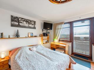 Apartment Sachrův Kopec-1 by Interhome - Harrachov - 8