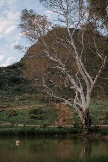 Delightful farmhouse with hottub - 5