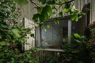 Sete Cidades Lake Lodge - 3