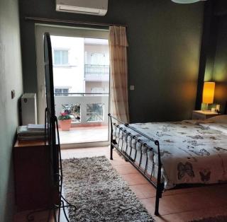 Secret Garden 76 sq.m. apartment close to city center - Ioannina - 8