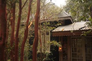 La Casita del Bosque - 1