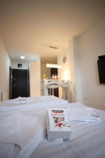 Apartman Lux - Nova Pazova - 4