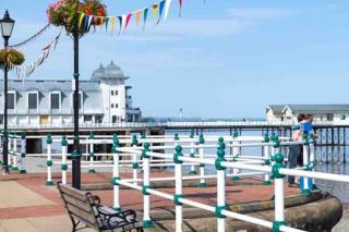 Penarth Townhouse close to Cardiff & Bay - Cardiff - 5