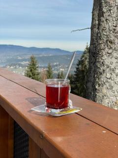 Planinska Kraljica - Gornje Pale - 6
