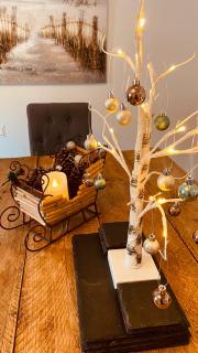 Nancie's Place - DARTMOUTH TOWN CENTER with PRIVATE PARKING - A Traditional Georgian PRIVATE DUPLEX APARTMENT - BEAUTIFULLY REFURBISHED - TWO BEDROOMS, BATHROOM, KITCHEN and LOUNGE DINER - 7