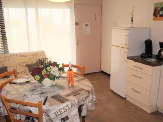 Appartement 26m² avec jardin et animaux admis à Balaruc-les-Bains - FR-1-503-51 - 8
