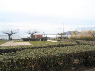 Appartement 26m² avec jardin et animaux admis à Balaruc-les-Bains - FR-1-503-51 - 4