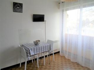 Charmant Mini-Studio Proche Thermes, Commerces Et Activités - Animaux Bienvenus! - FR-1-503-54 - Balaruc-les-Bains - 8