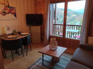 Saint Gervais proche centre village, studio - 5