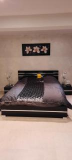 Loft atypique et chaleureux - Châteauroux - 4