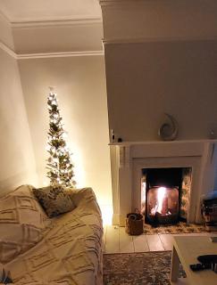 Dune Cottage - Caister-on-Sea - 1