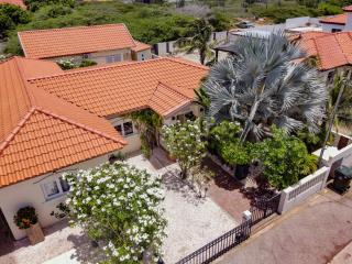 Villa Swiss Paradise with private pool - Palm-Eagle Beach - 7