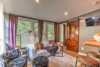 Historic but Modern with Relaxing Natural Light - 4