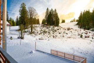 Ferienwohnung Feldberg Schwarzwald - Feldberg - 7