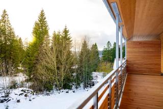 Ferienwohnung Feldberg Schwarzwald - Feldberg - 5