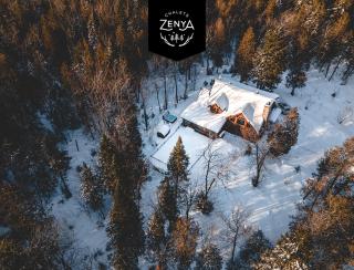 Chalet Silver Fox SPA at Fiddler's Lake - 0