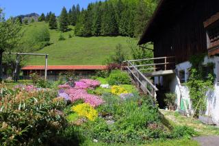 Bauernhof Hamberger Hof - Sachrang - 7