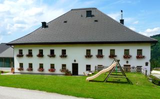 Feichtingerhof - Steinbach am Attersee - 4