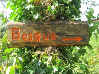 ECOHOSTAL HUELLAS DEL BOSQUE - Valdivia - 6