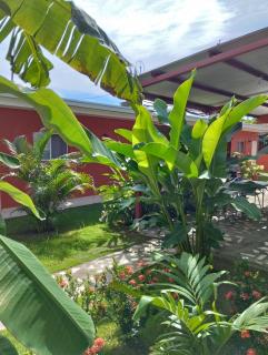 Hotel Munch - Managua - 3